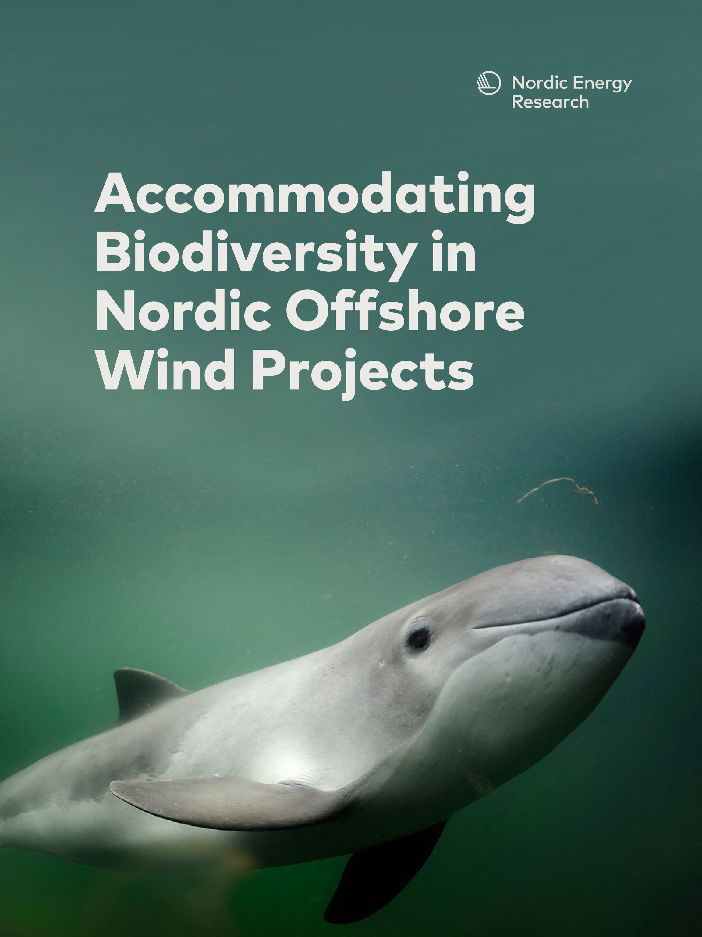 Accommodating Biodiversity In Nordic Offshore Wind Projects Nordic   Signaturfoto 2304x3072 